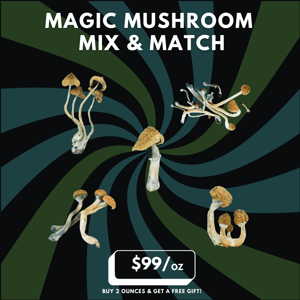 mushroom mix and match