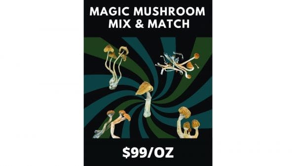 magic mushroom sale
