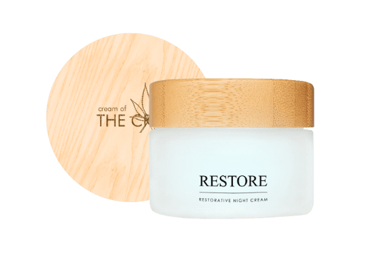 restore restore night cream