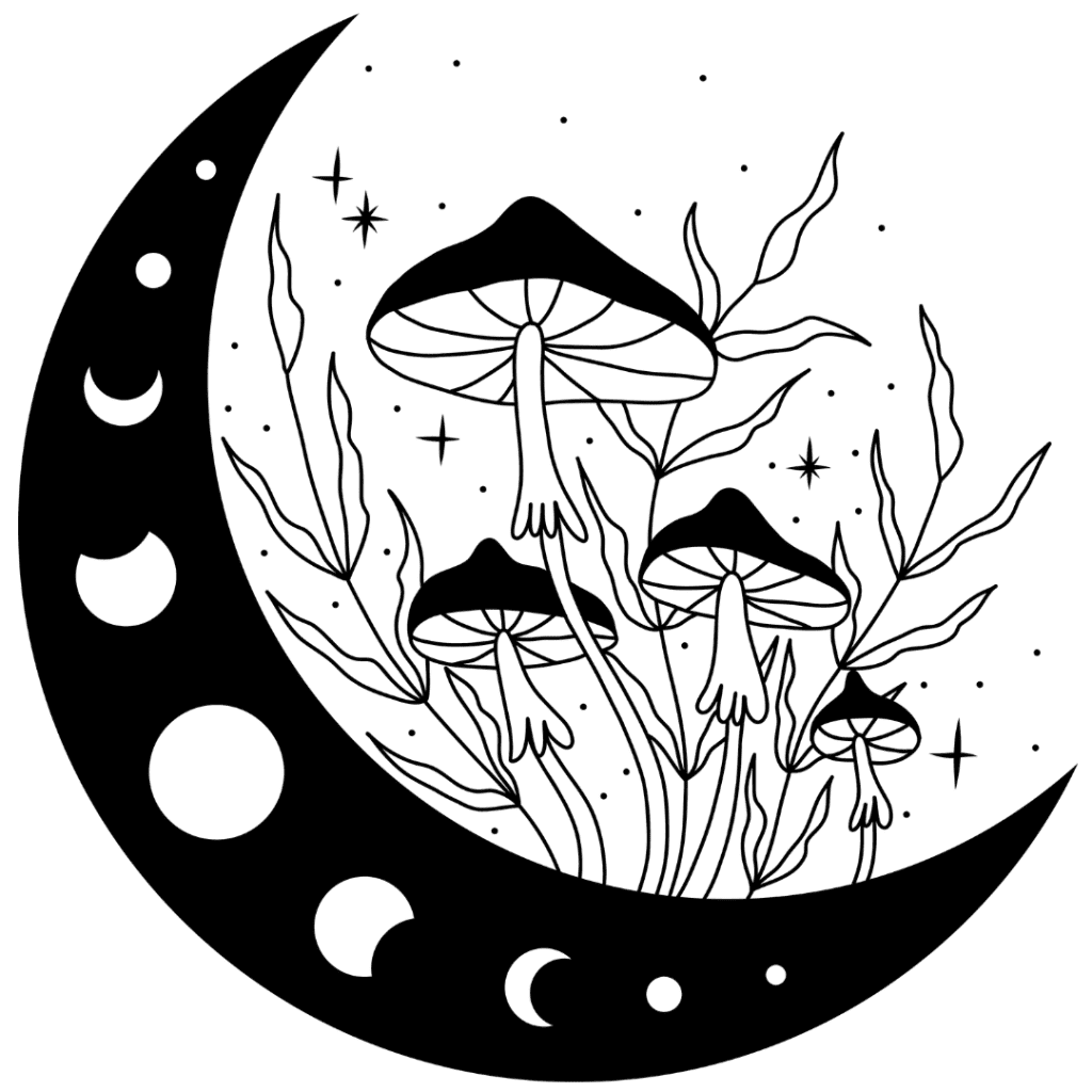 moonshrooms magic mushrooms and the moon cycle